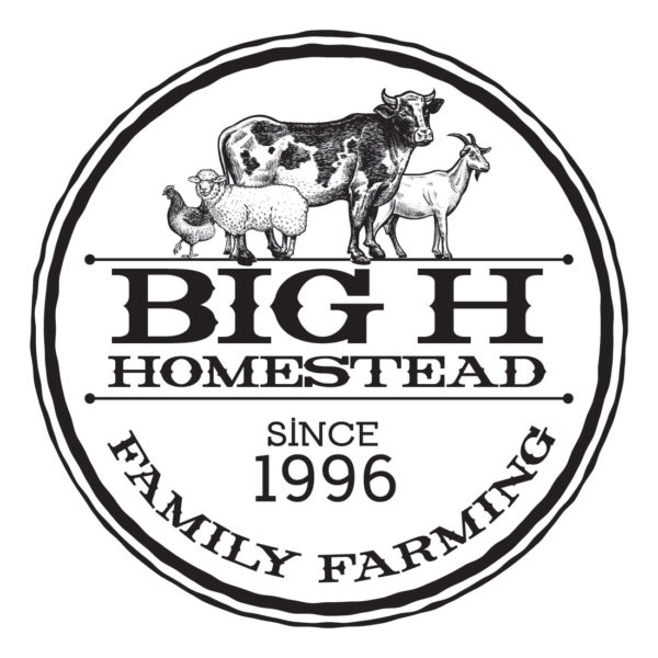 Big-H_logo